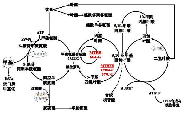 365Ӣ()޹˾-Official website