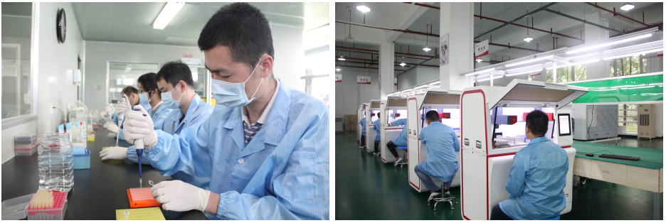 365Ӣ()޹˾-Official website