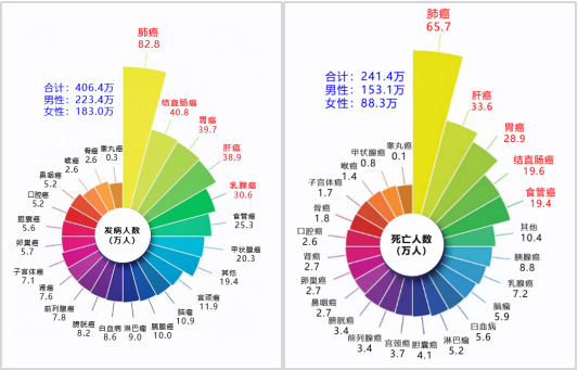 365Ӣ()޹˾-Official website